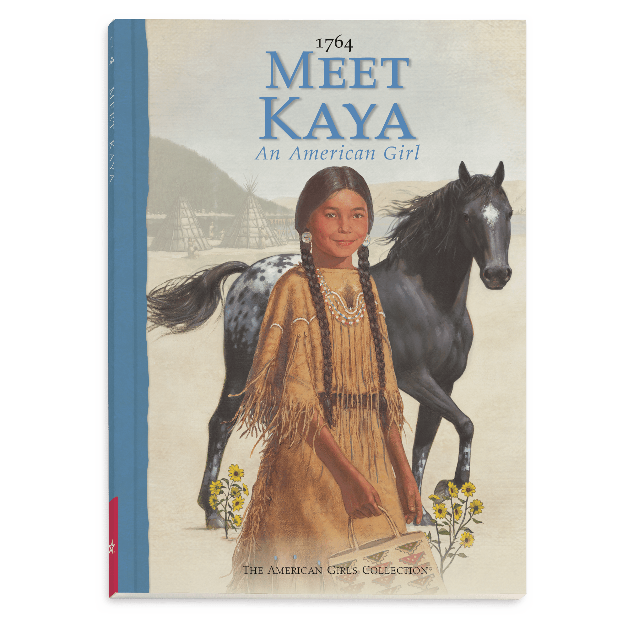 Kaya? 18-inch Doll. Book & Accessories (Historical Characters) - Image 12